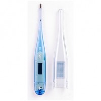 Digital Electronic Thermometer
