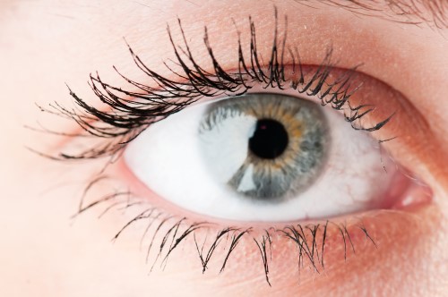 Do You Know How to Treat an Eye Injury?